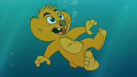 bear, hugo, jungledyret, koala, male, underwater.